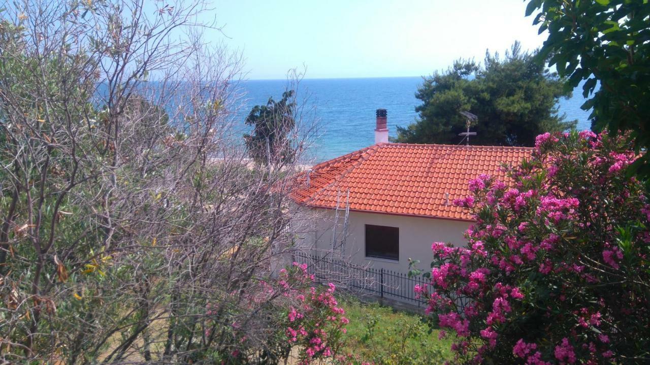 Maisonette Close To The Beach Νικήτη Εξωτερικό φωτογραφία